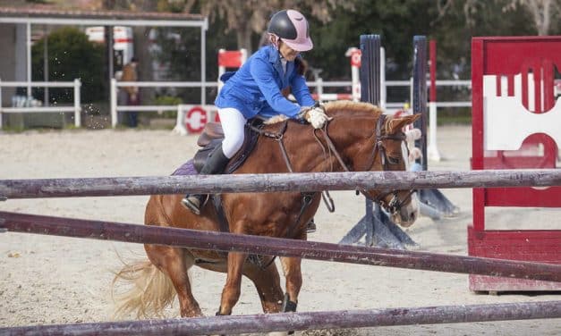 De intelligentie van het lichaam