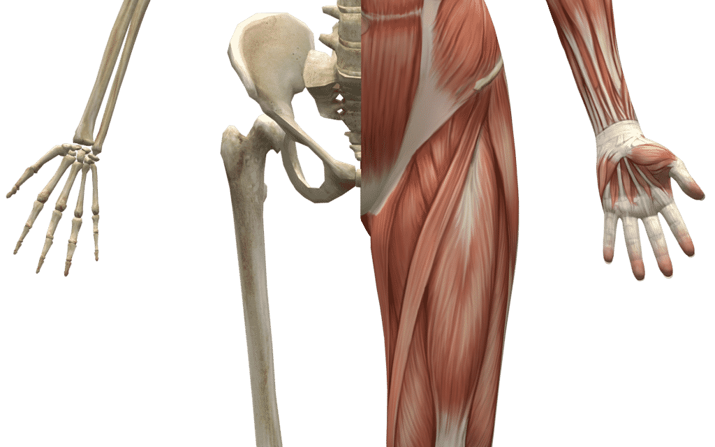 Wet nummer 3: vorm en functie