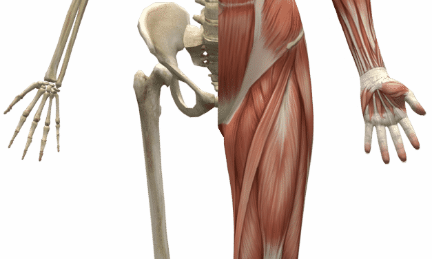 Wet nummer 3: vorm en functie