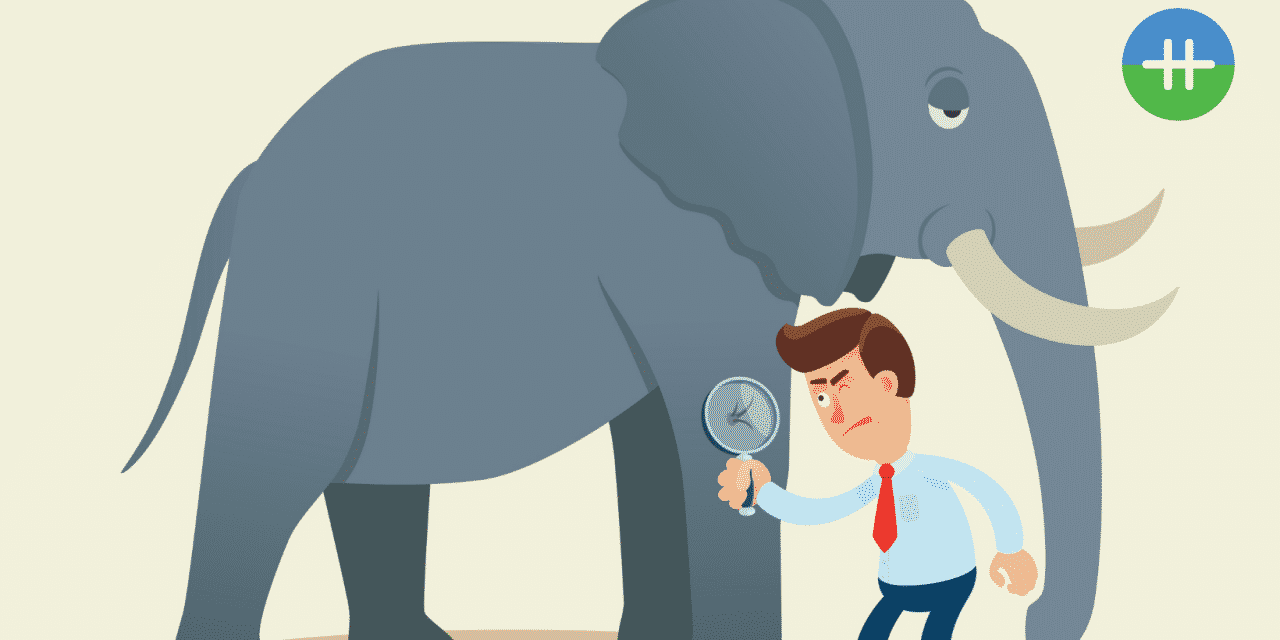 Focussen op details of het hele plaatje zien?