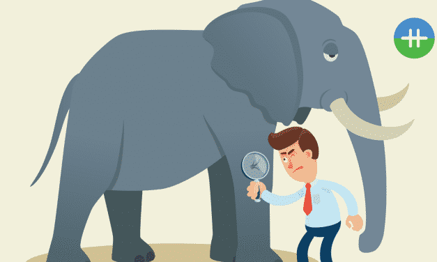 Focussen op details of het hele plaatje zien?