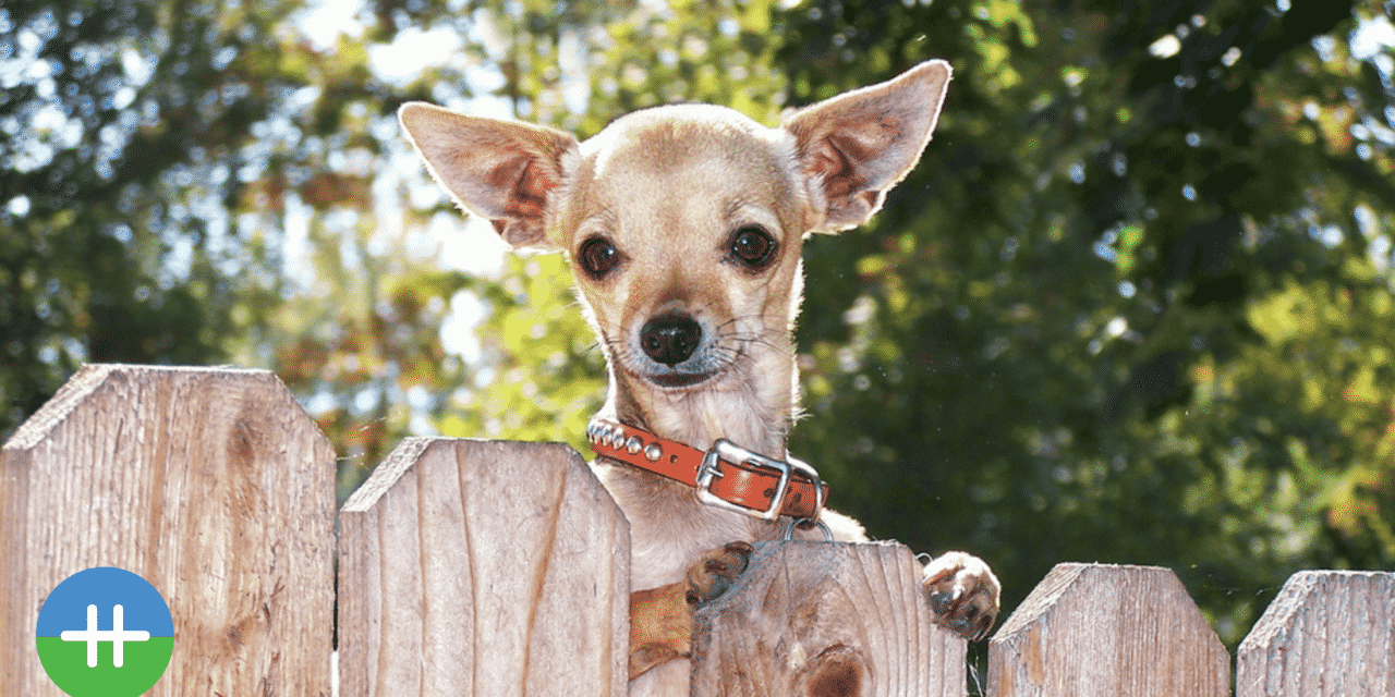 Hoe kun je nog inefficiënter zijn?