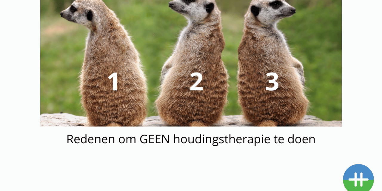 3 Redenen om GEEN houdingstherapie te doen.
