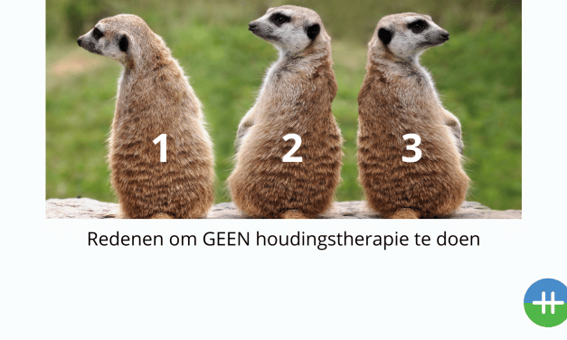 3 Redenen om GEEN houdingstherapie te doen.
