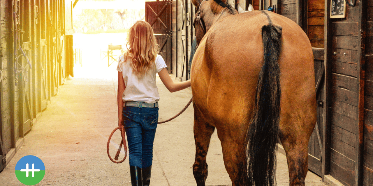 Voelt je paard je spanning?