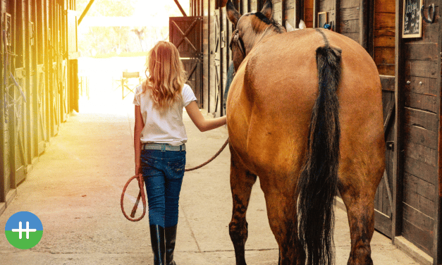 Voelt je paard je spanning?