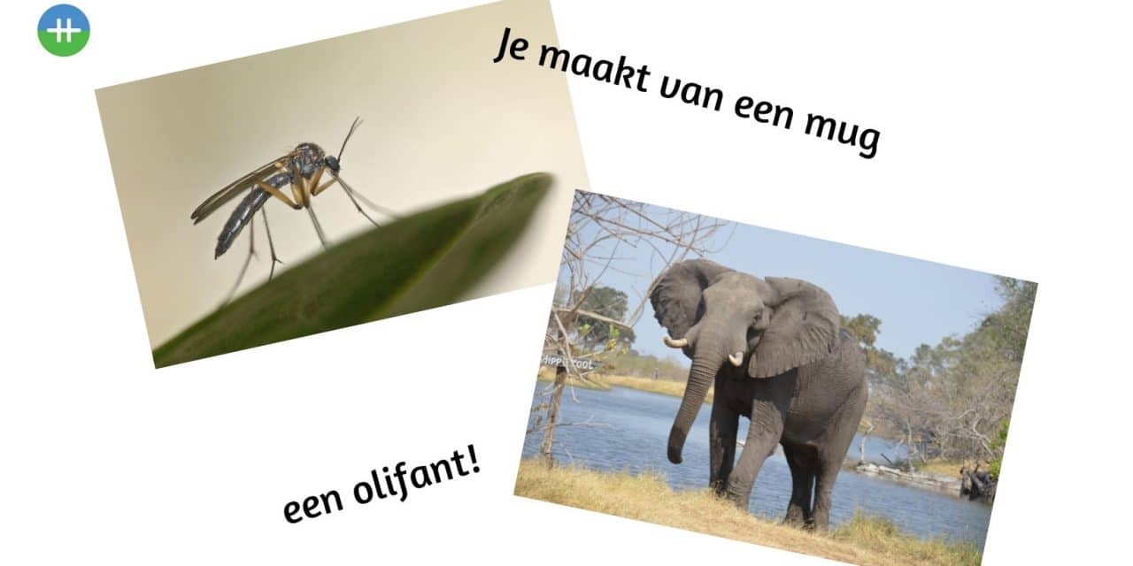Je maakt van een mug een olifant