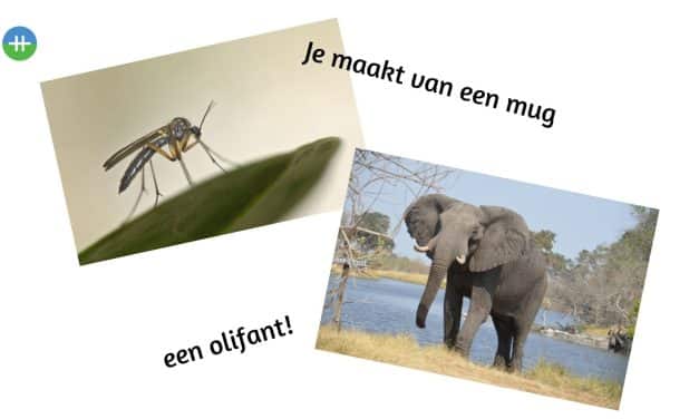 Je maakt van een mug een olifant