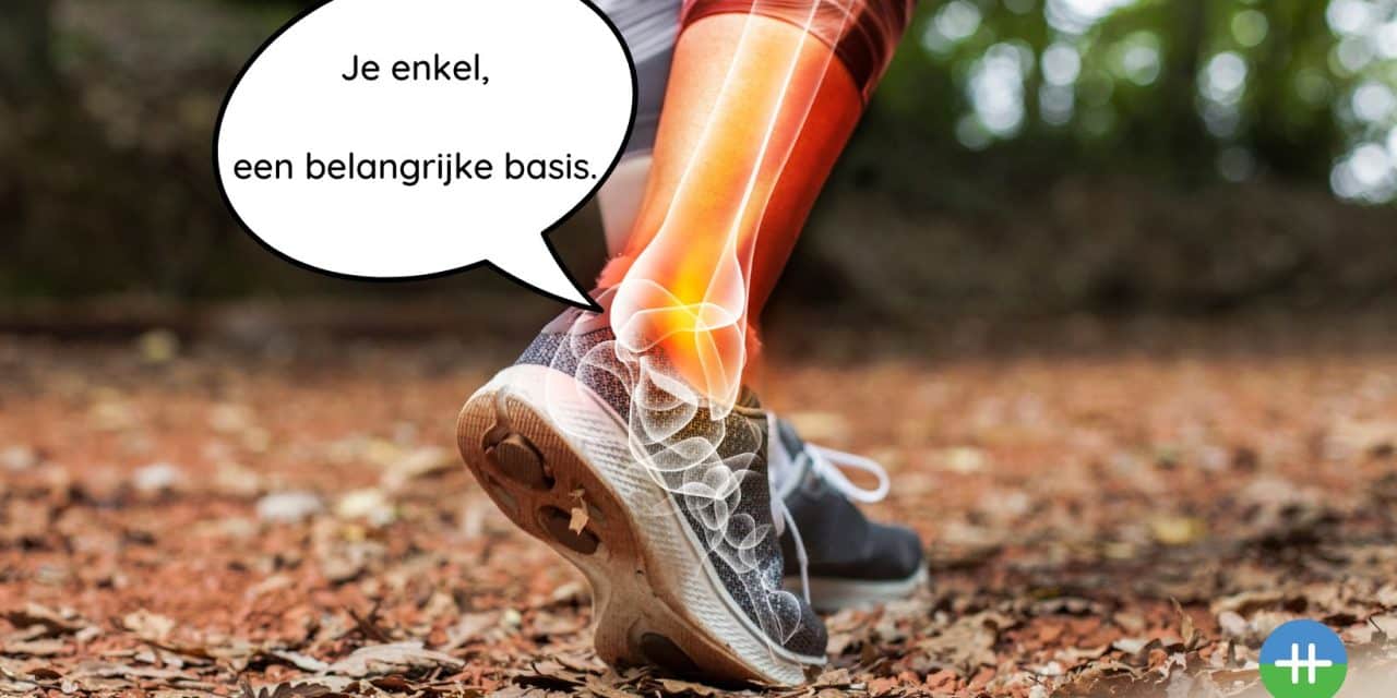 Je enkel, een belangrijke basis