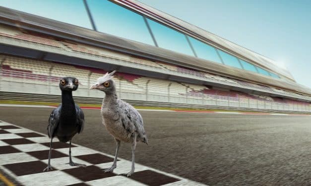 Twee zien meer dan één