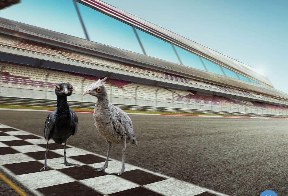 Twee zien meer dan één