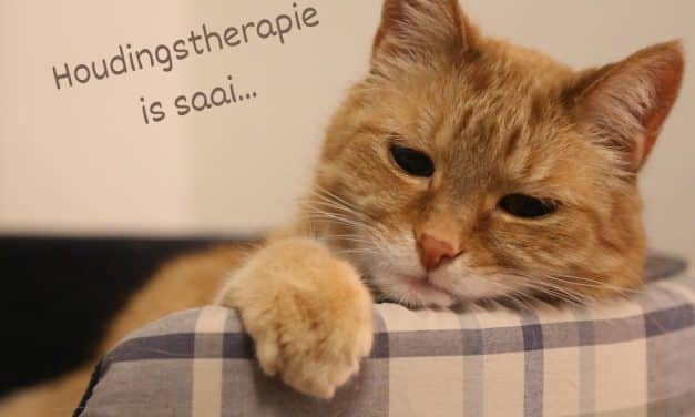 Houdingstherapie is saai