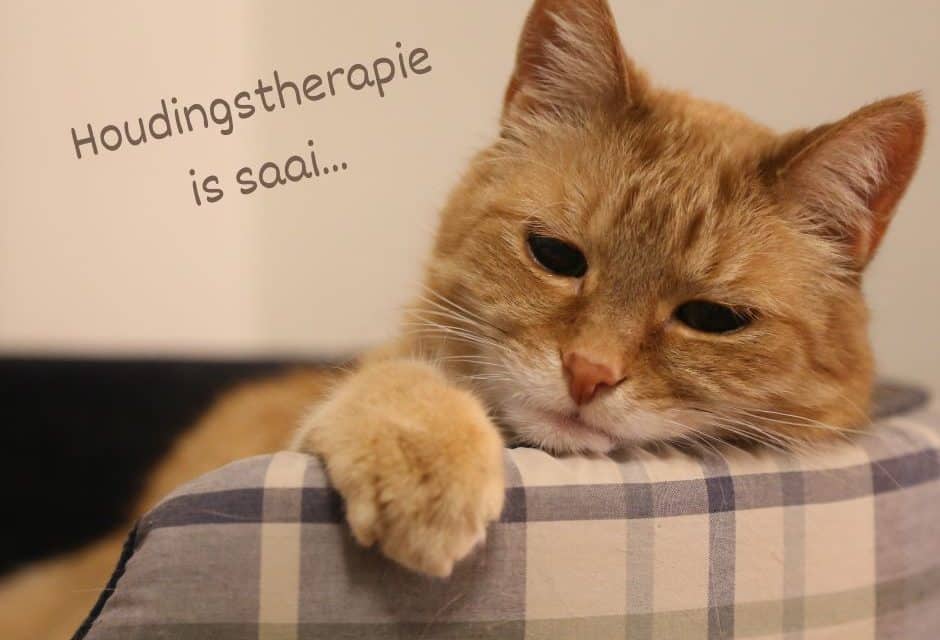 Houdingstherapie is saai